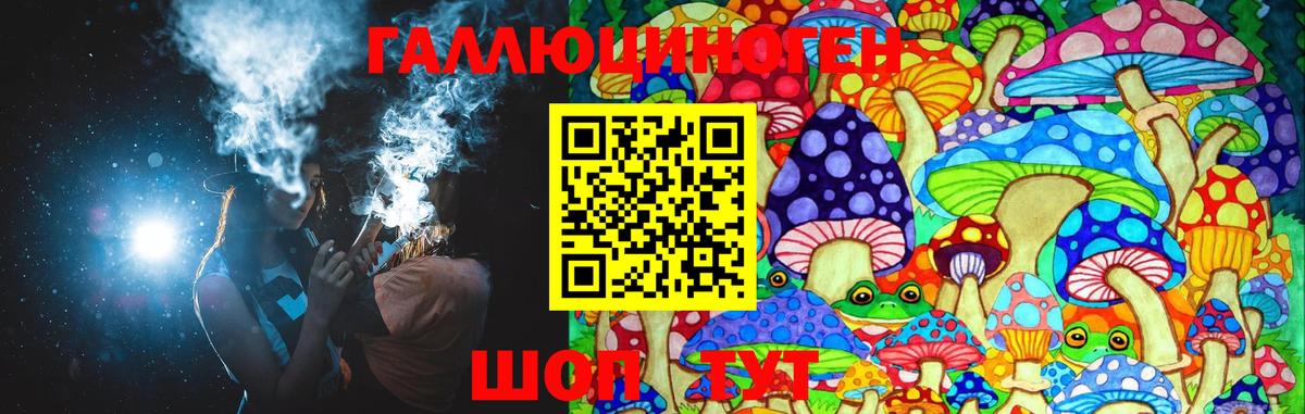 Псилоцибиновые грибы Psilocybe Кемерово